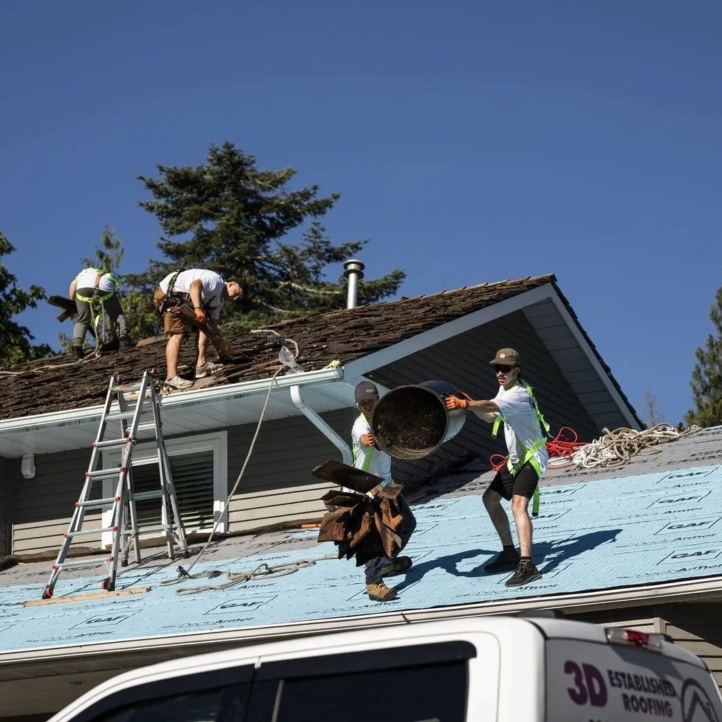 Turning Roofs into Architectural Eye Candy