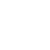 Shield with a padlock icon