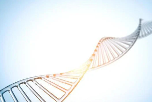 Peptides: The Future of Medicine