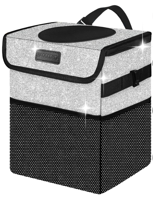 Glitter Multi Purpose Container