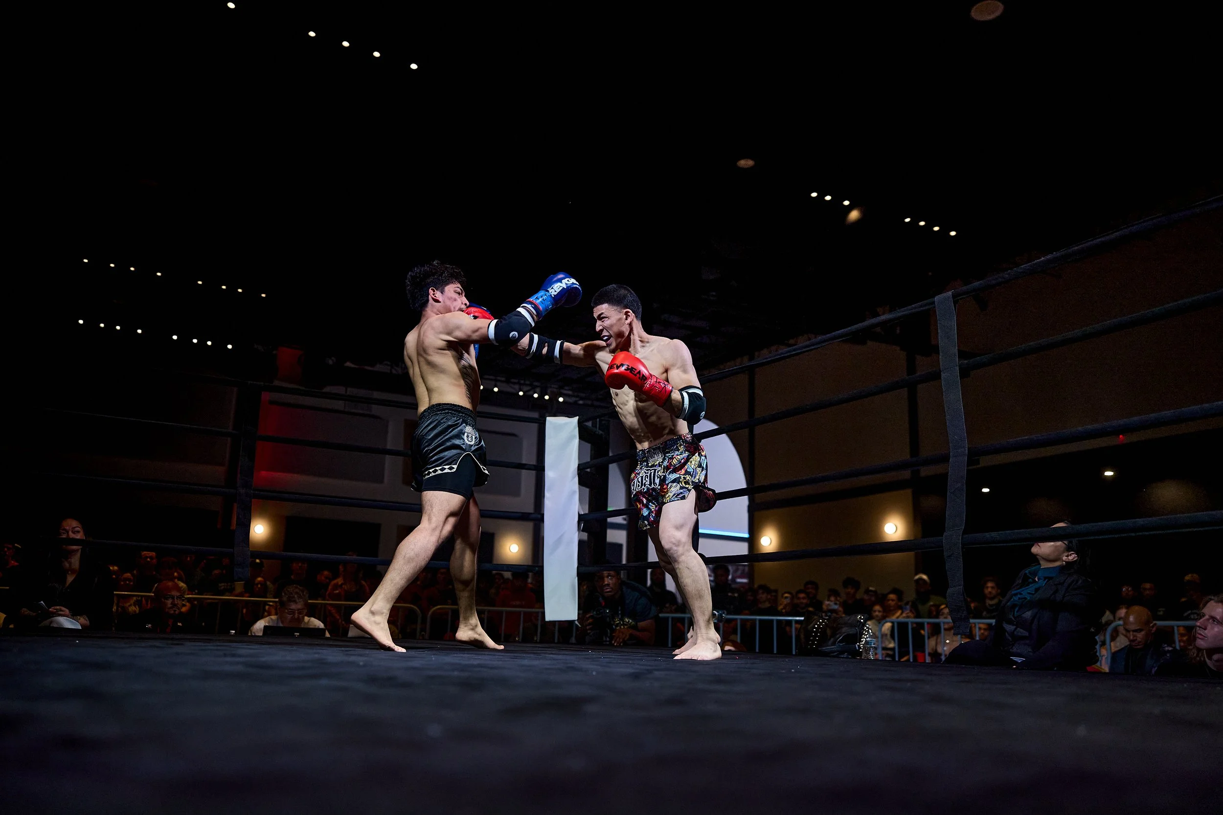 fight6_r5_85.jpg