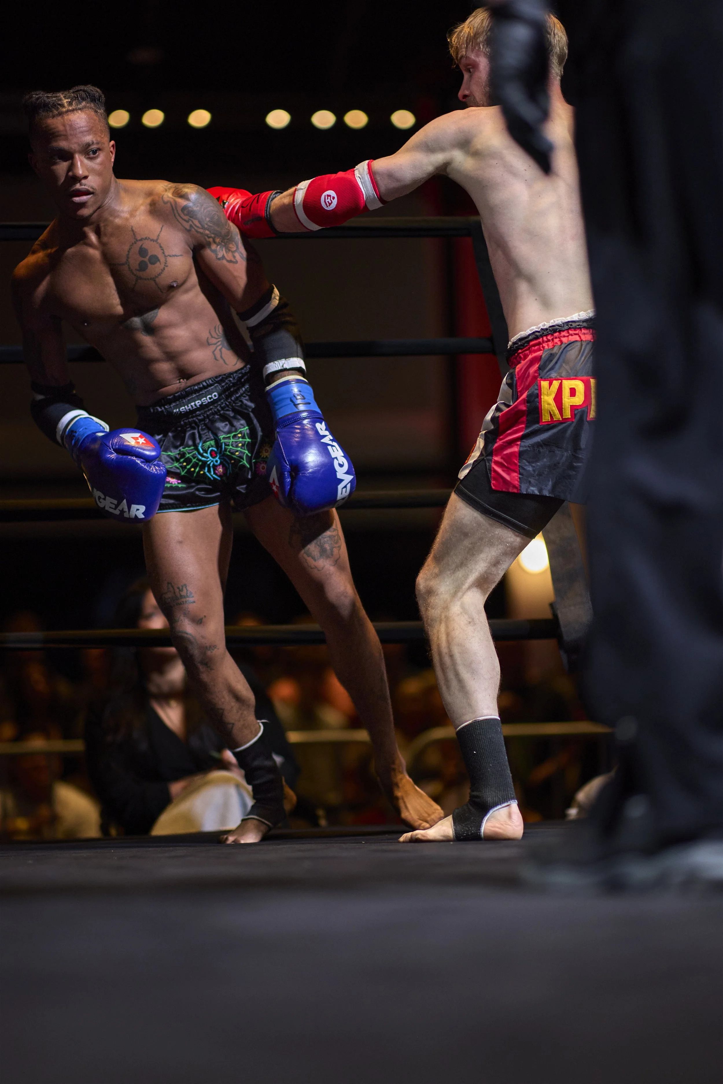 fight2_m2_71.jpg