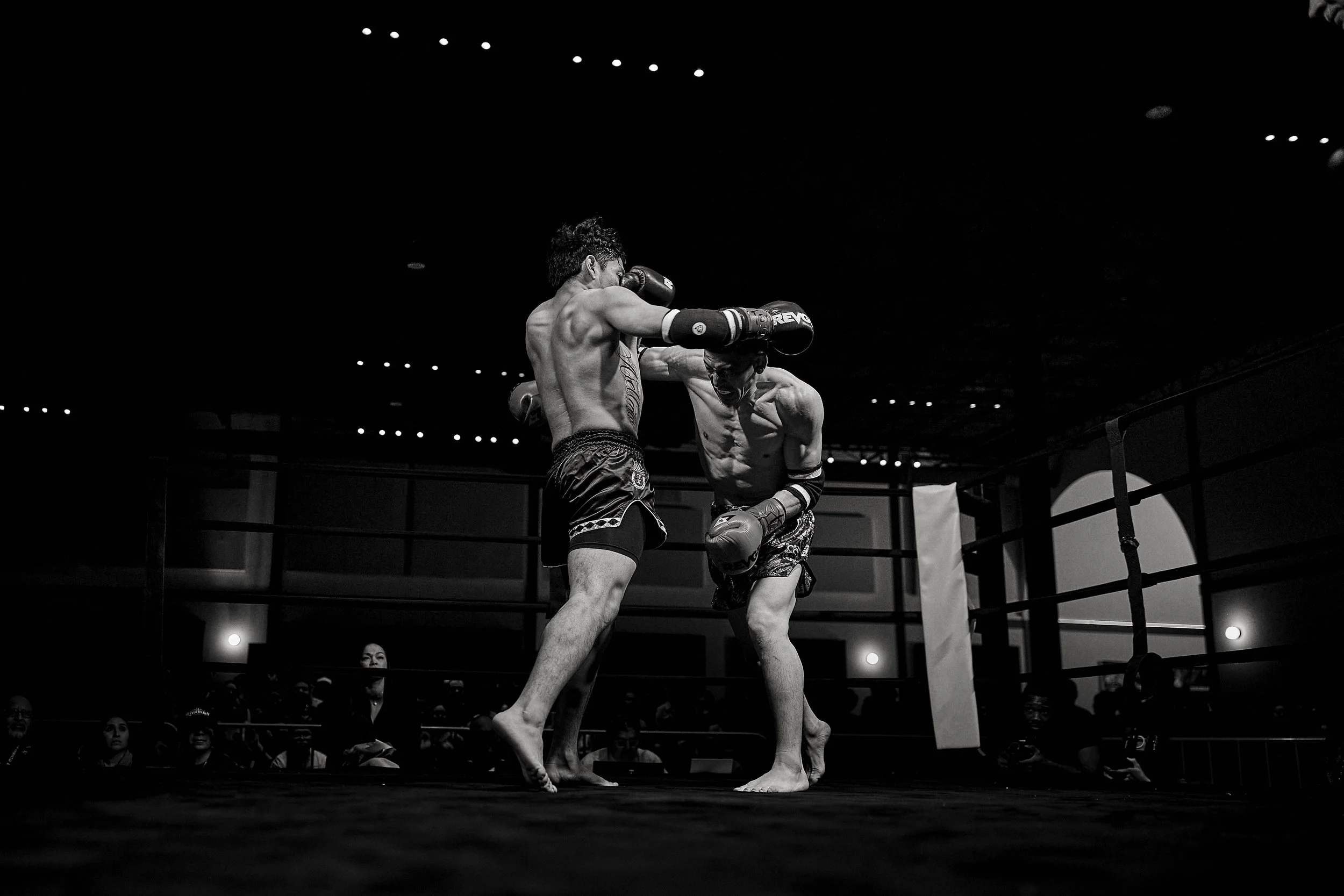 fight6_r5_95.jpg
