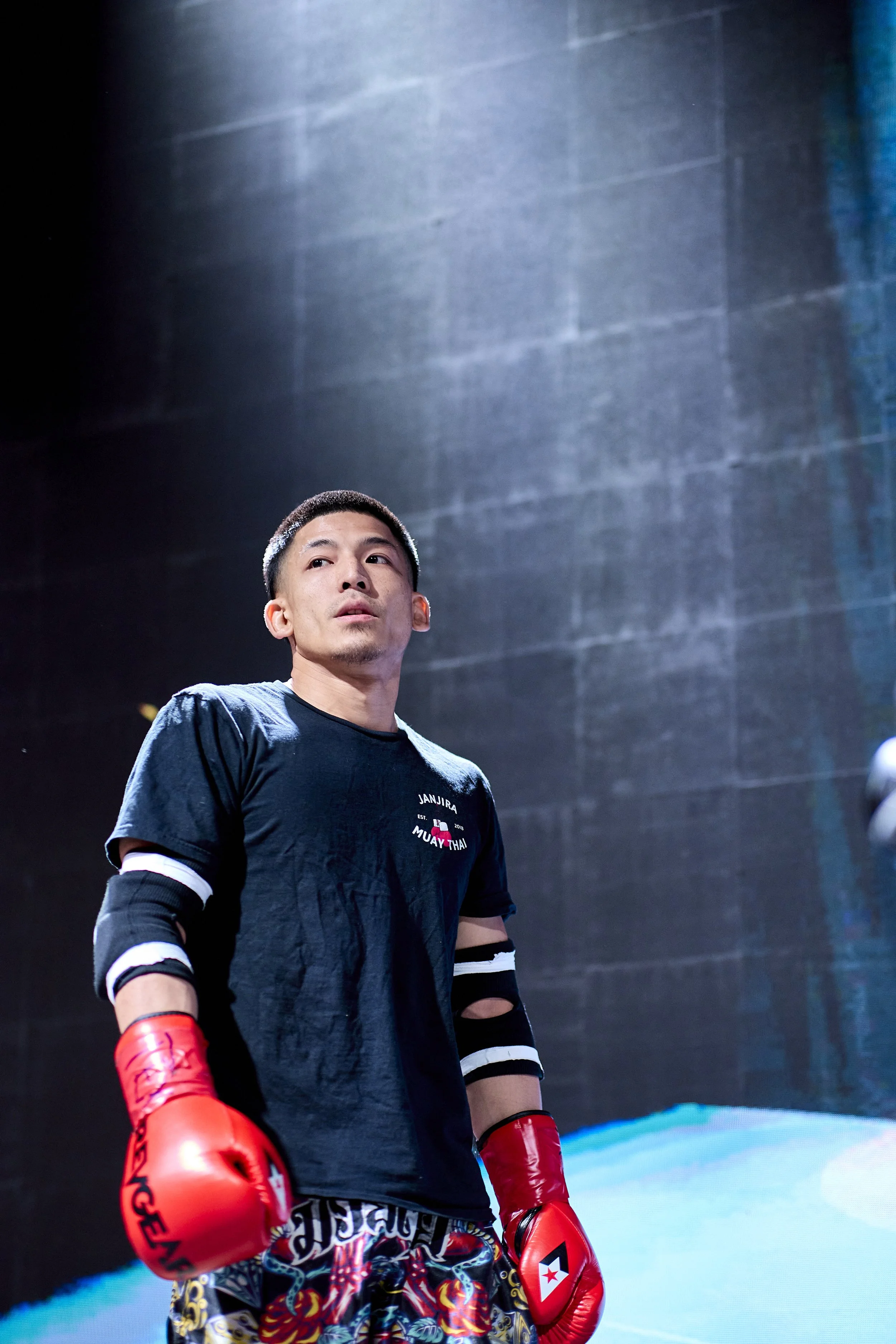 fight6_m2_8.jpg