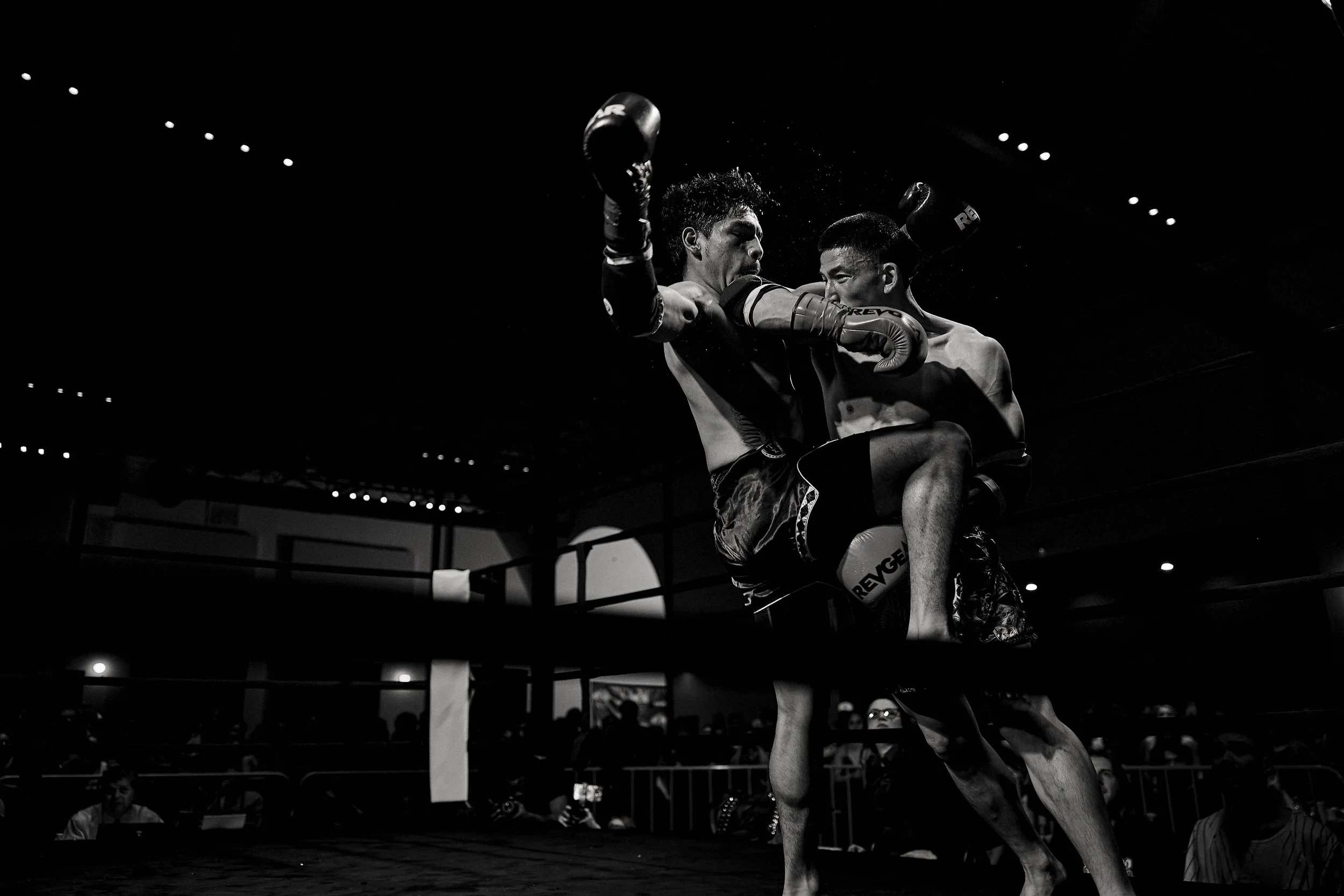fight6_r5_1491.jpg