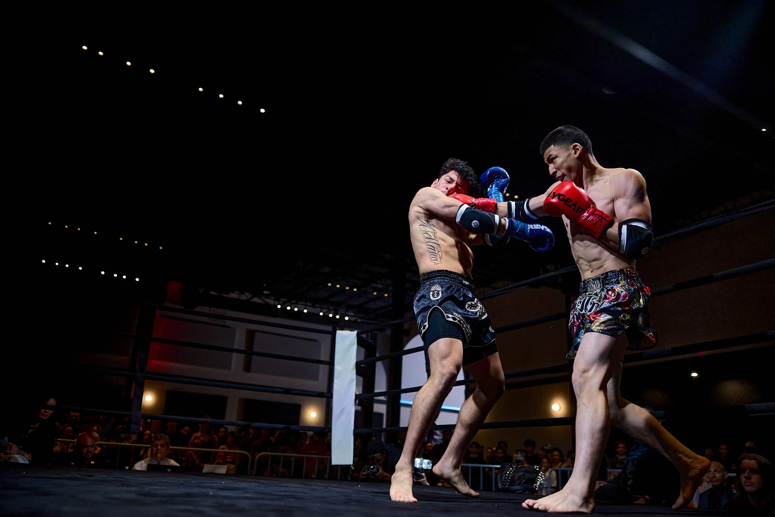 fight6_r5_77.jpg