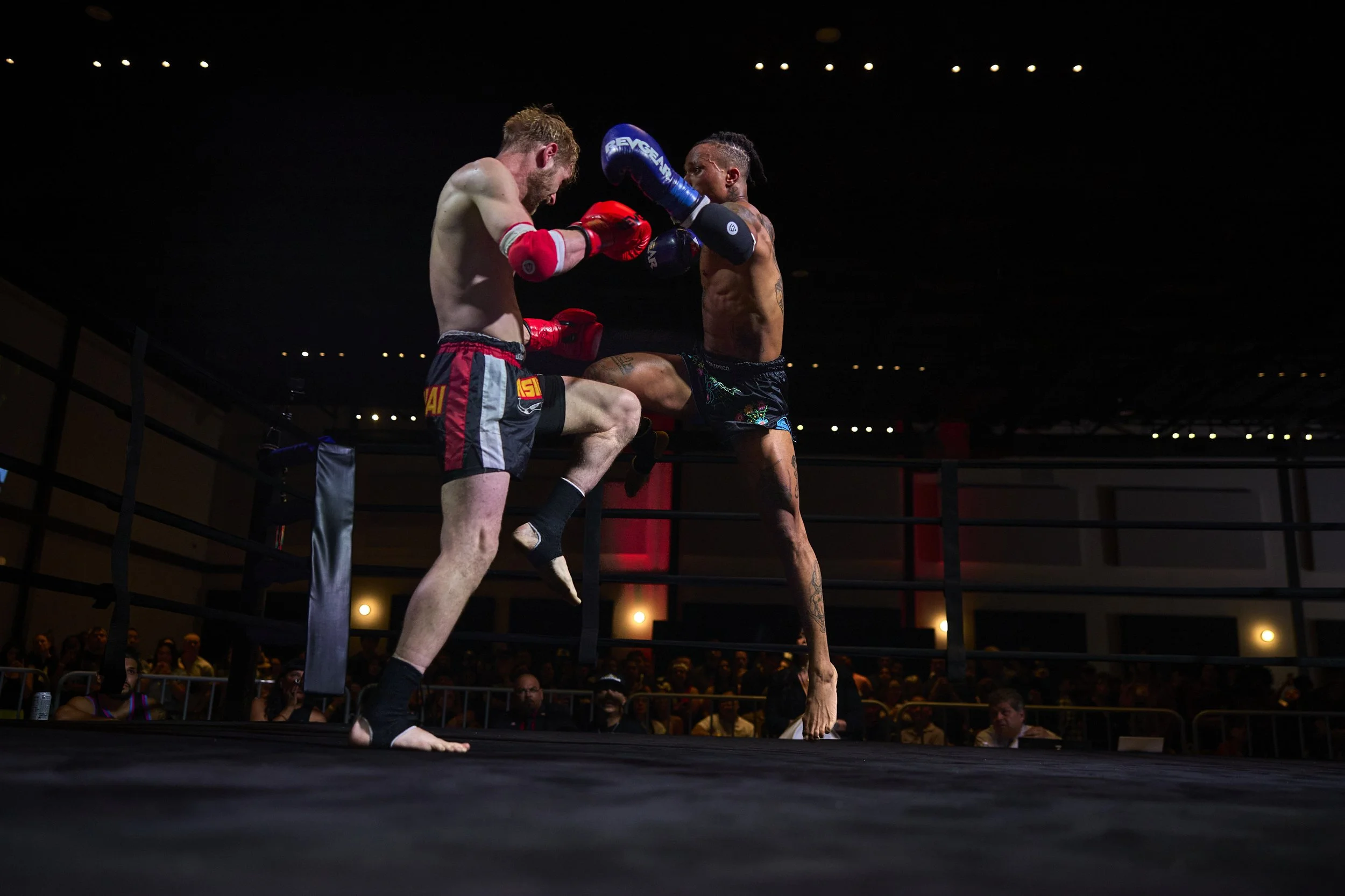 fight2_r5_184.jpg