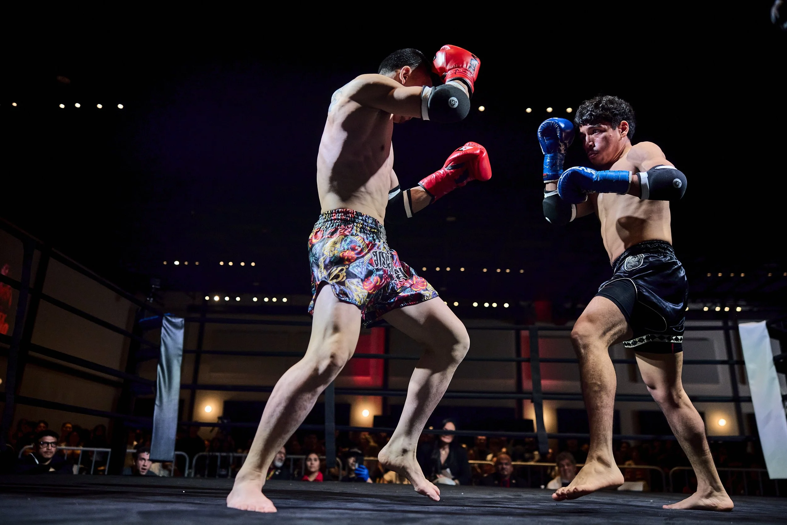 fight6_r5_70.jpg