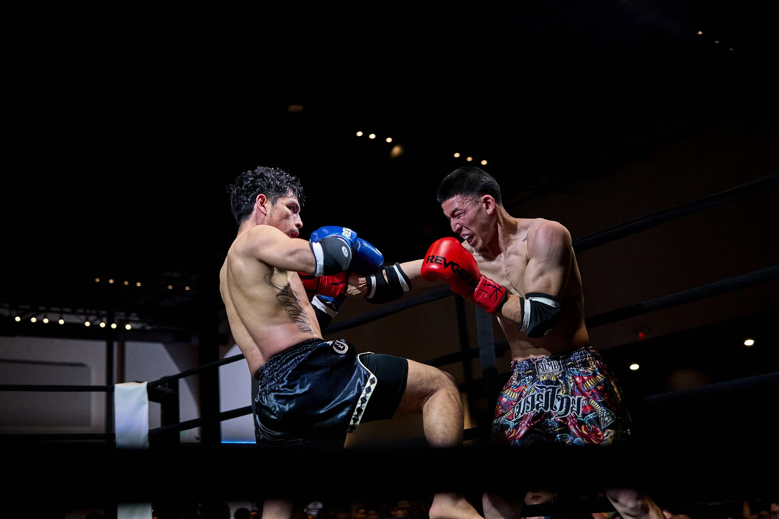fight6_r5_140.jpg