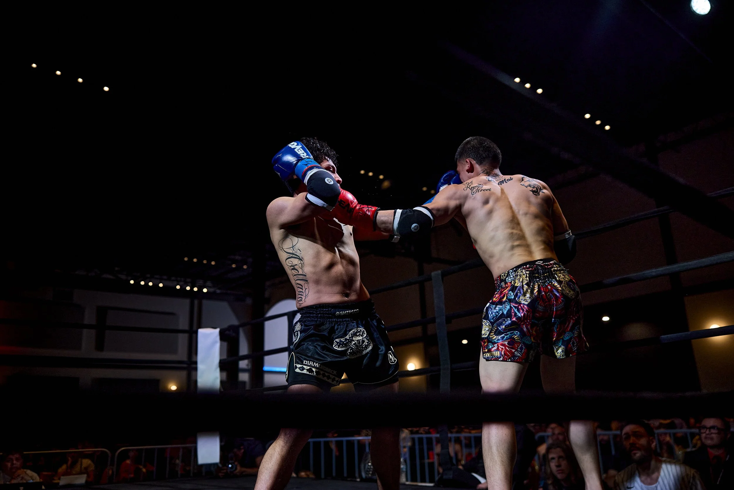 fight6_r5_116.jpg