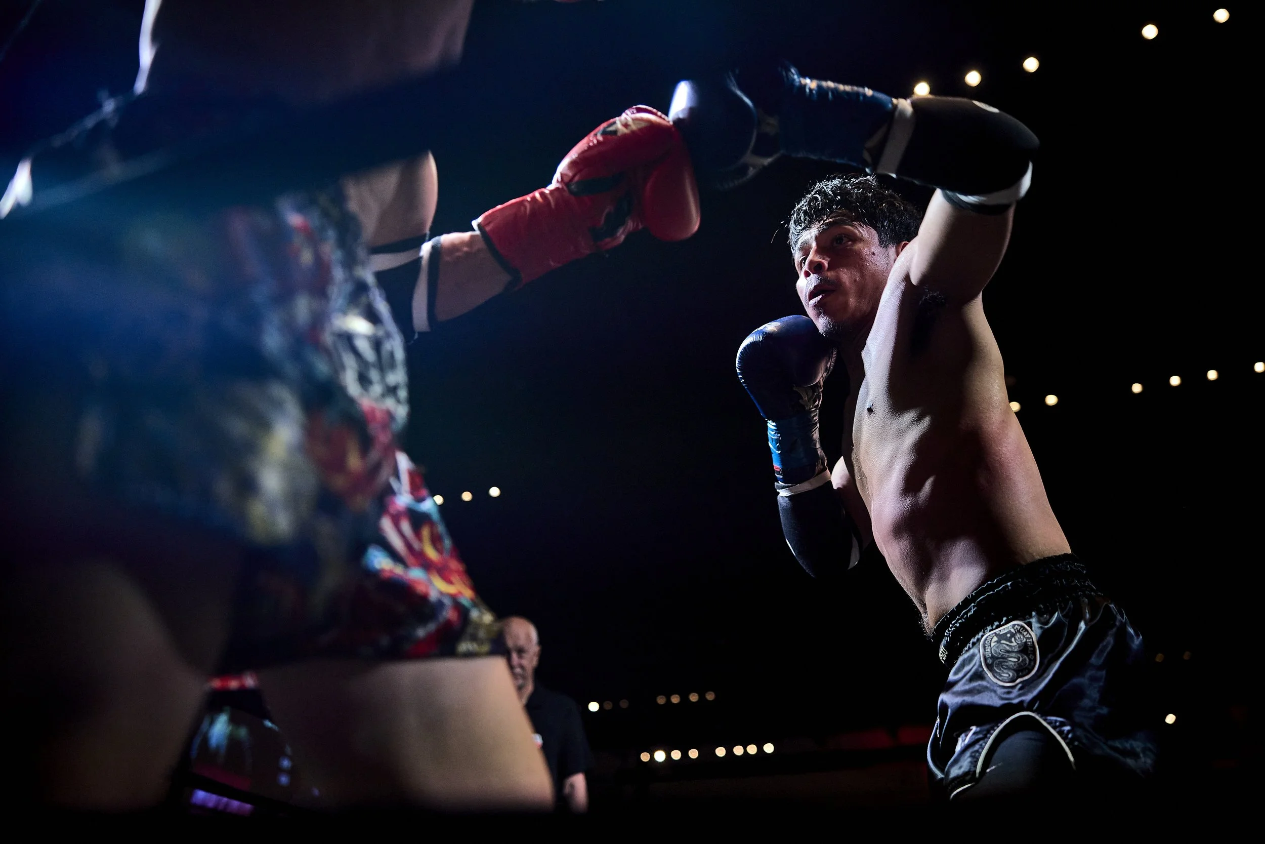 fight6_r5_125.jpg