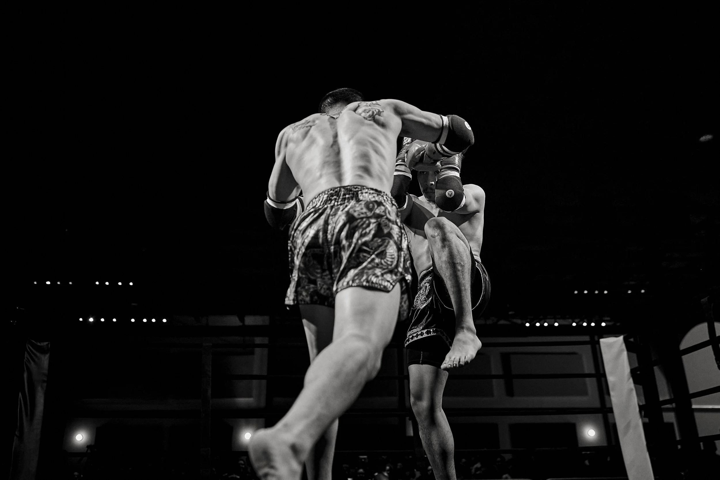 fight6_r5_81.jpg