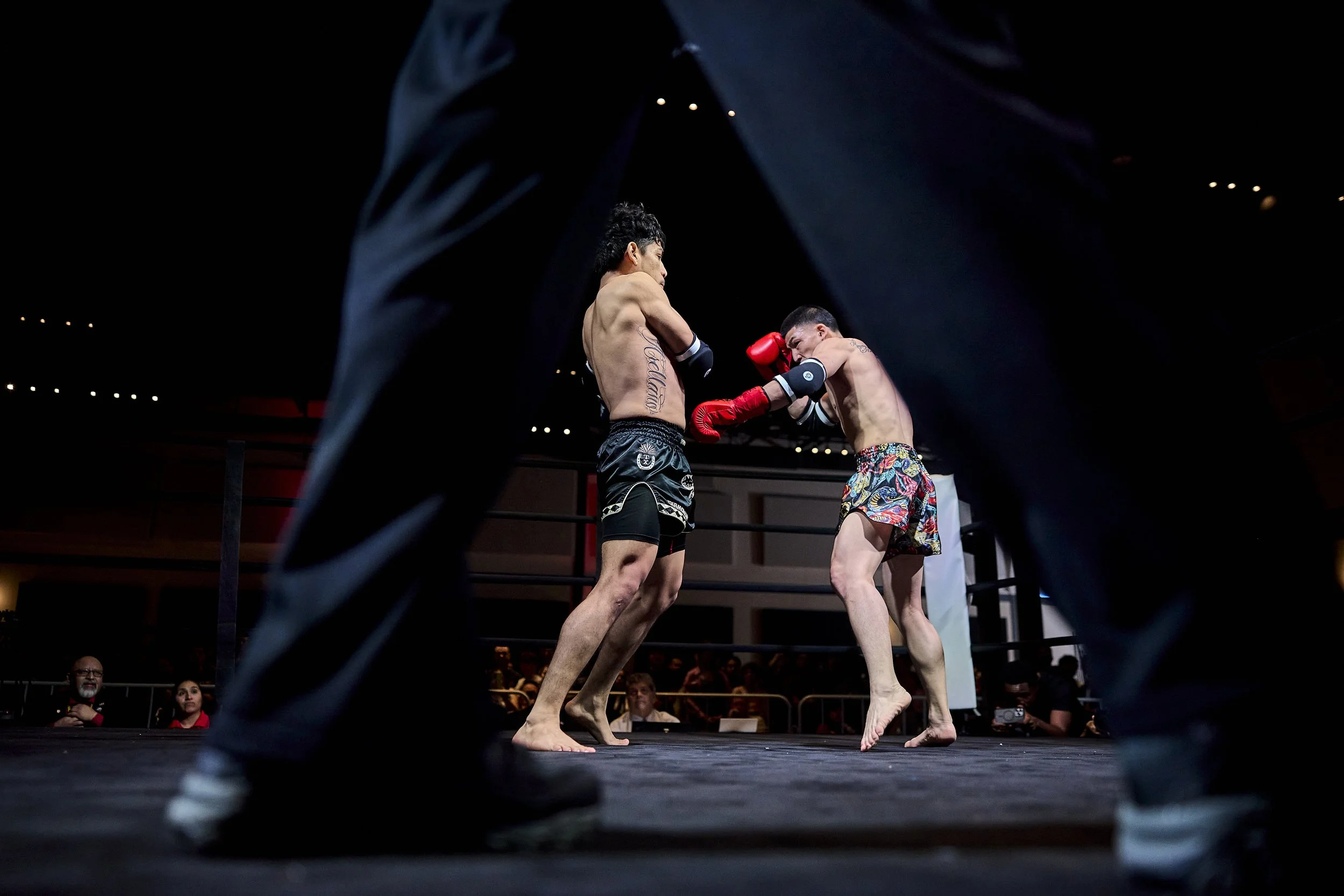 fight6_r5_59.jpg
