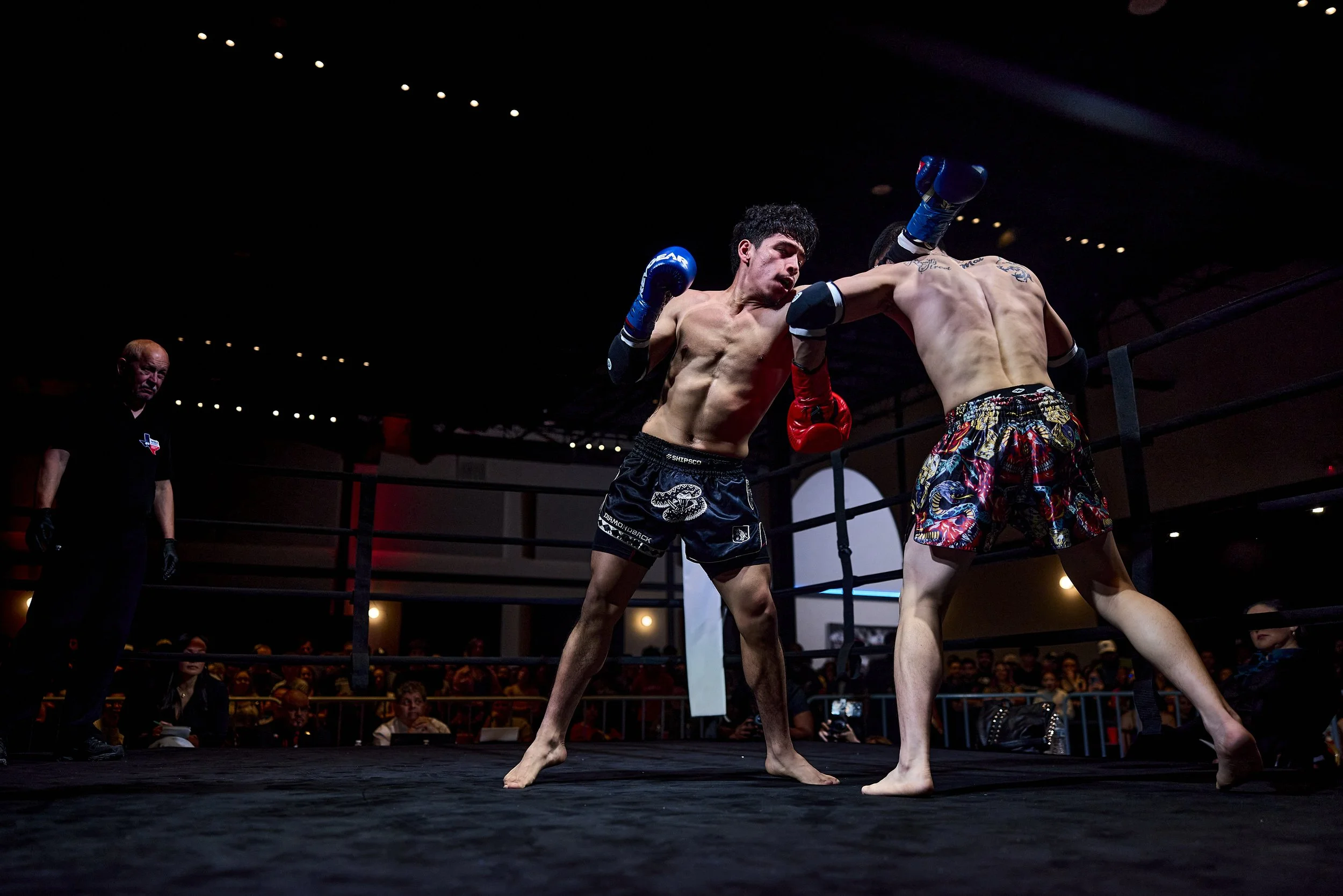 fight6_r5_111.jpg