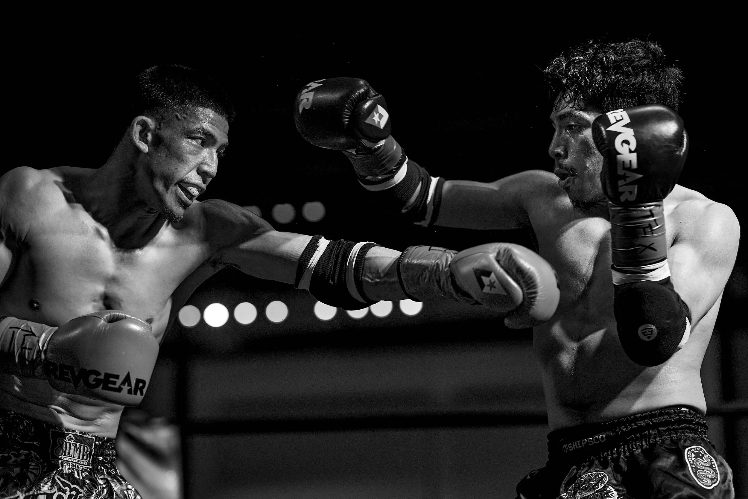 fight6_m2_47.jpg