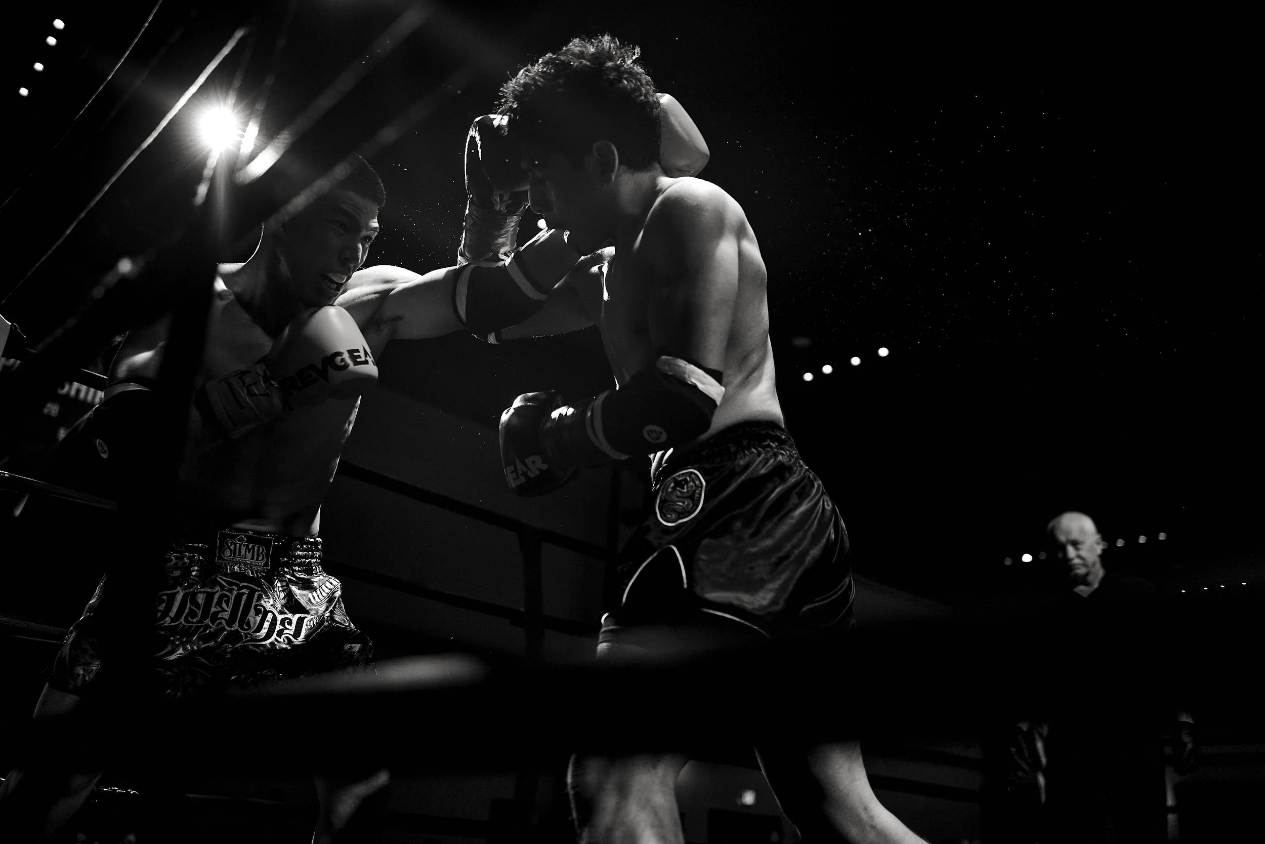 fight6_r5_123.jpg