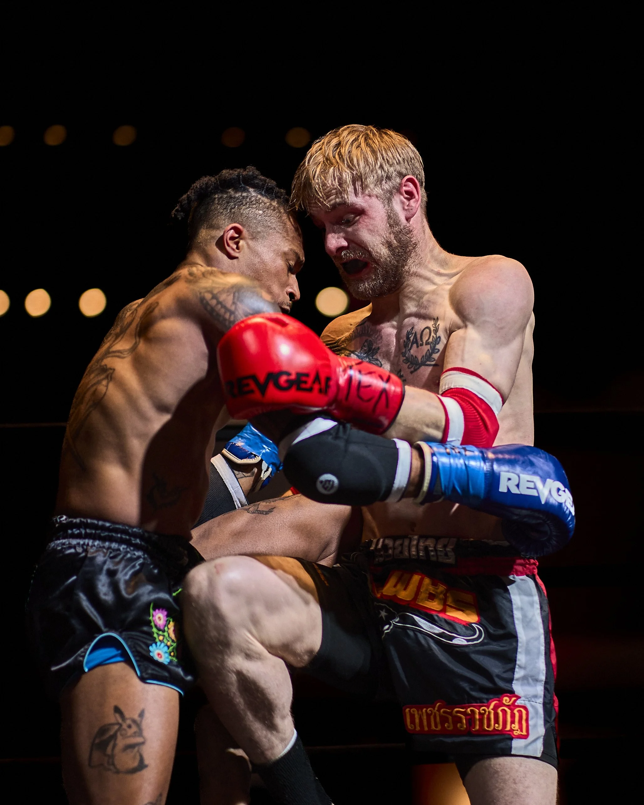 fight2_m2_66.jpg
