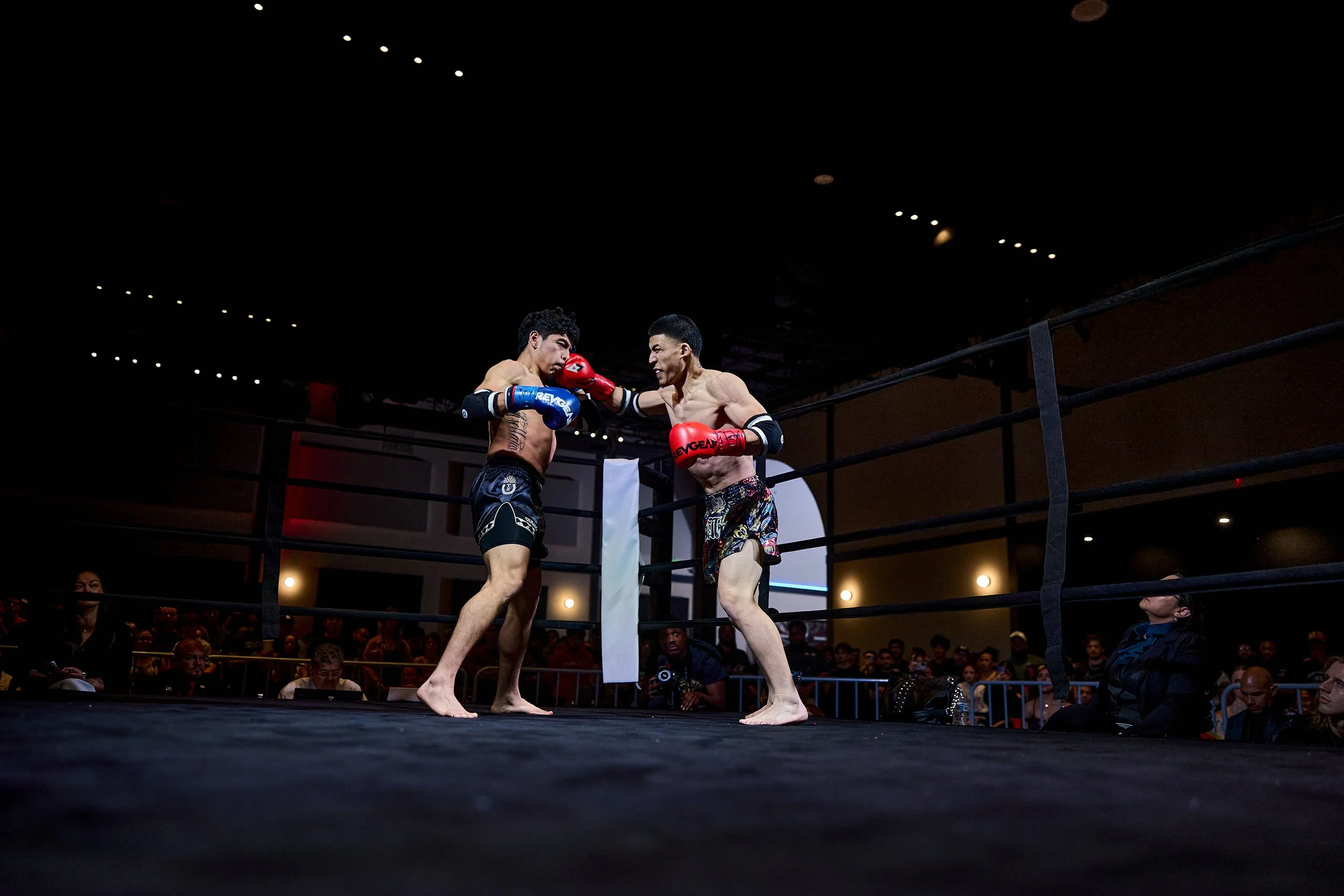 fight6_r5_84.jpg