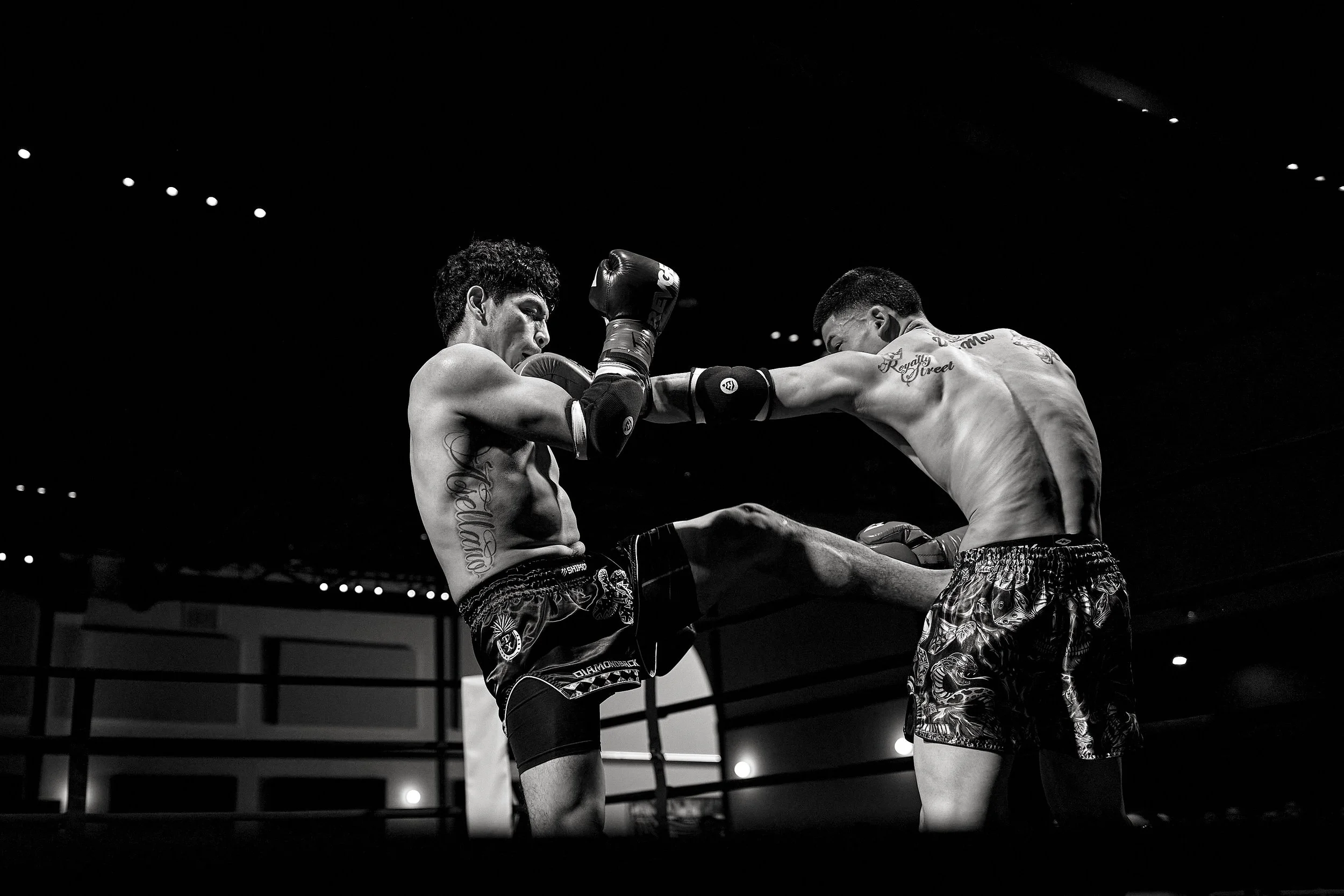 fight6_r5_114.jpg
