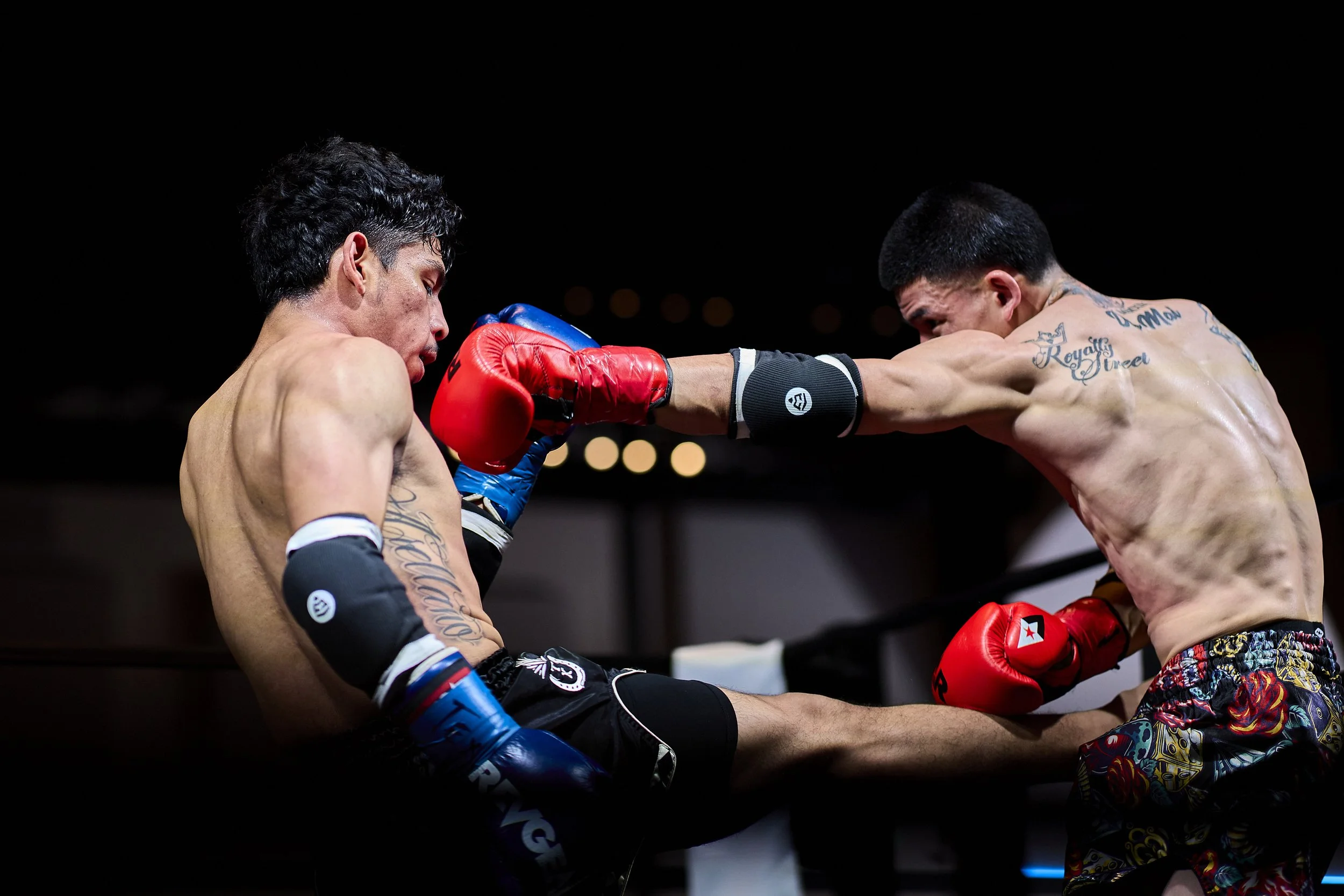 fight6_m2_45.jpg