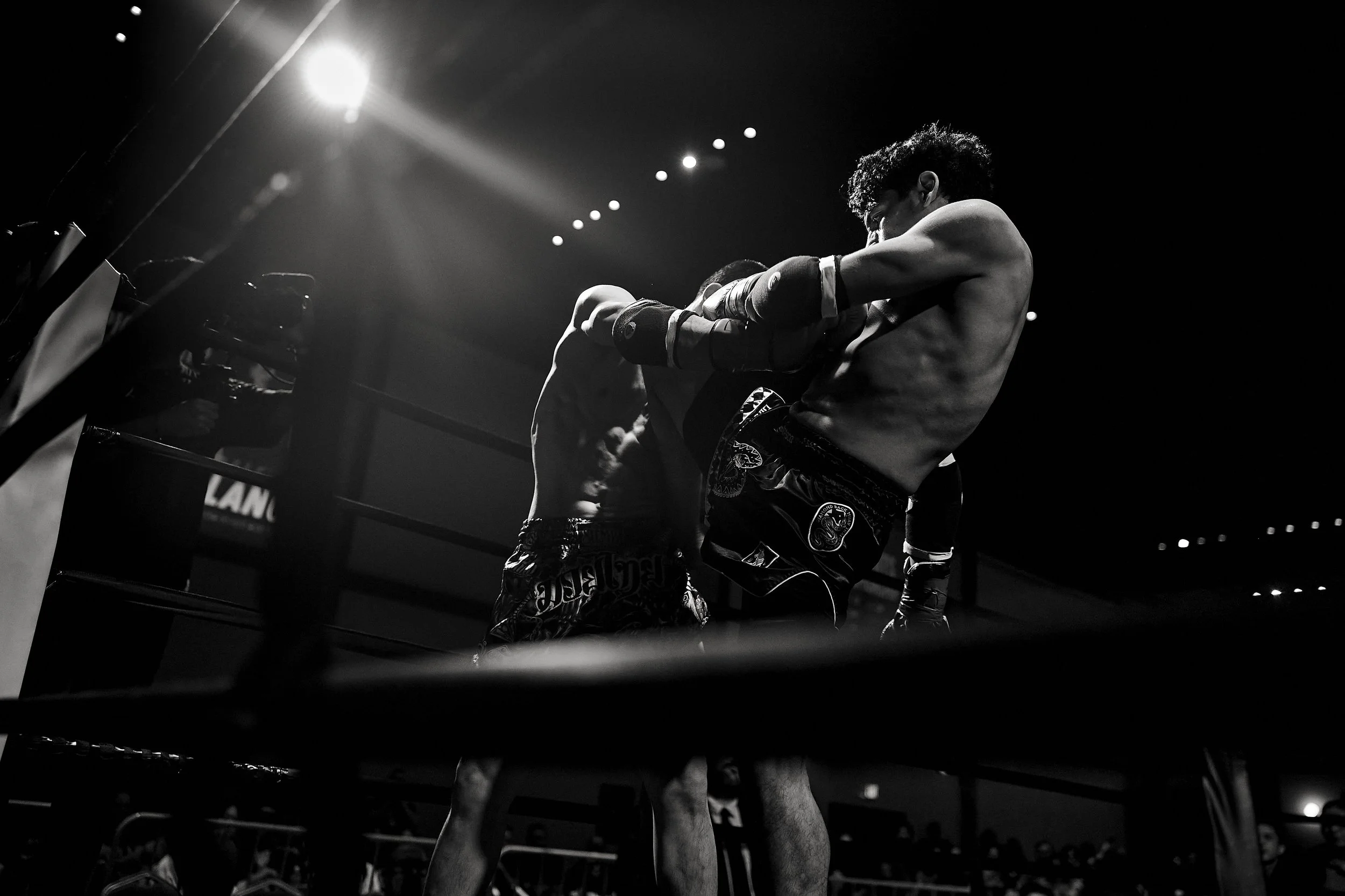 fight6_r5_1331.jpg