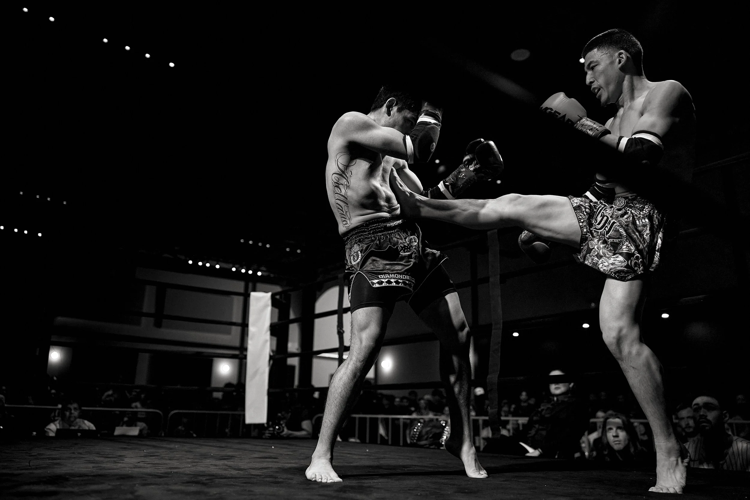 fight6_r5_113.jpg