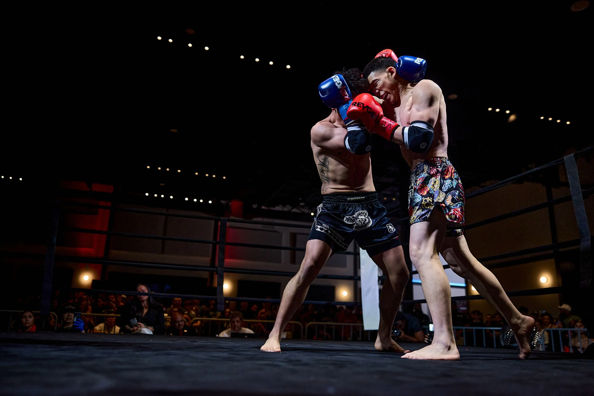 fight6_r5_80.jpg