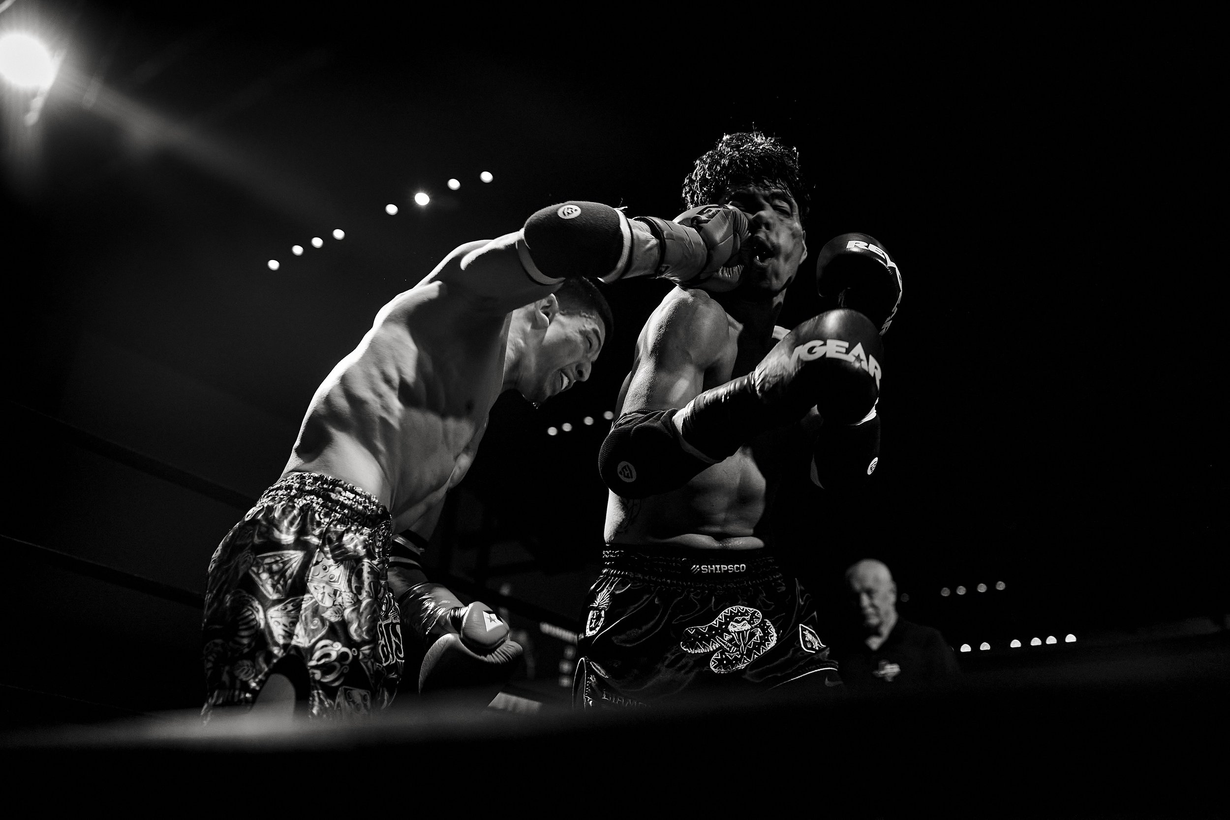 fight6_r5_1291.jpg