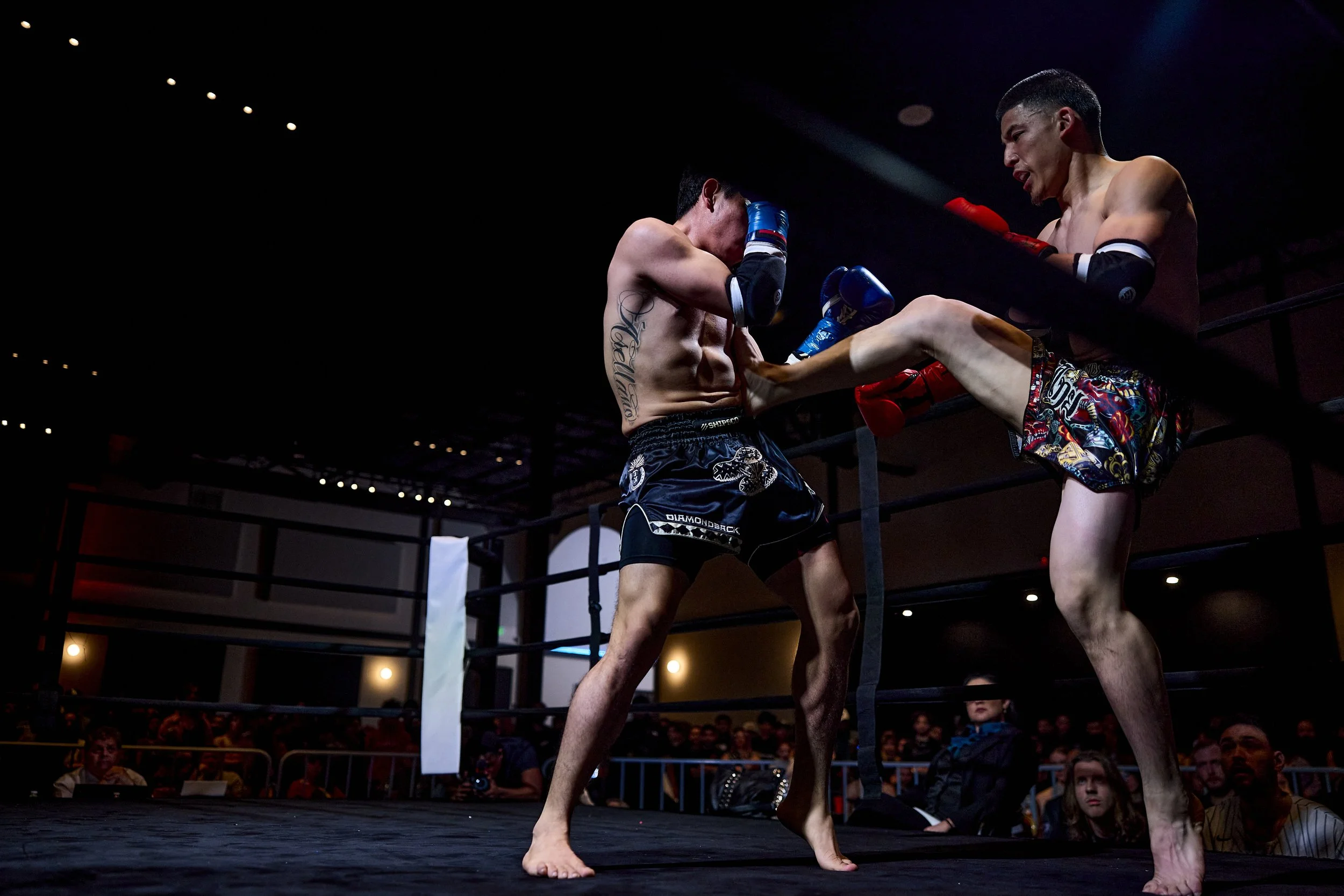 fight6_r5_112.jpg