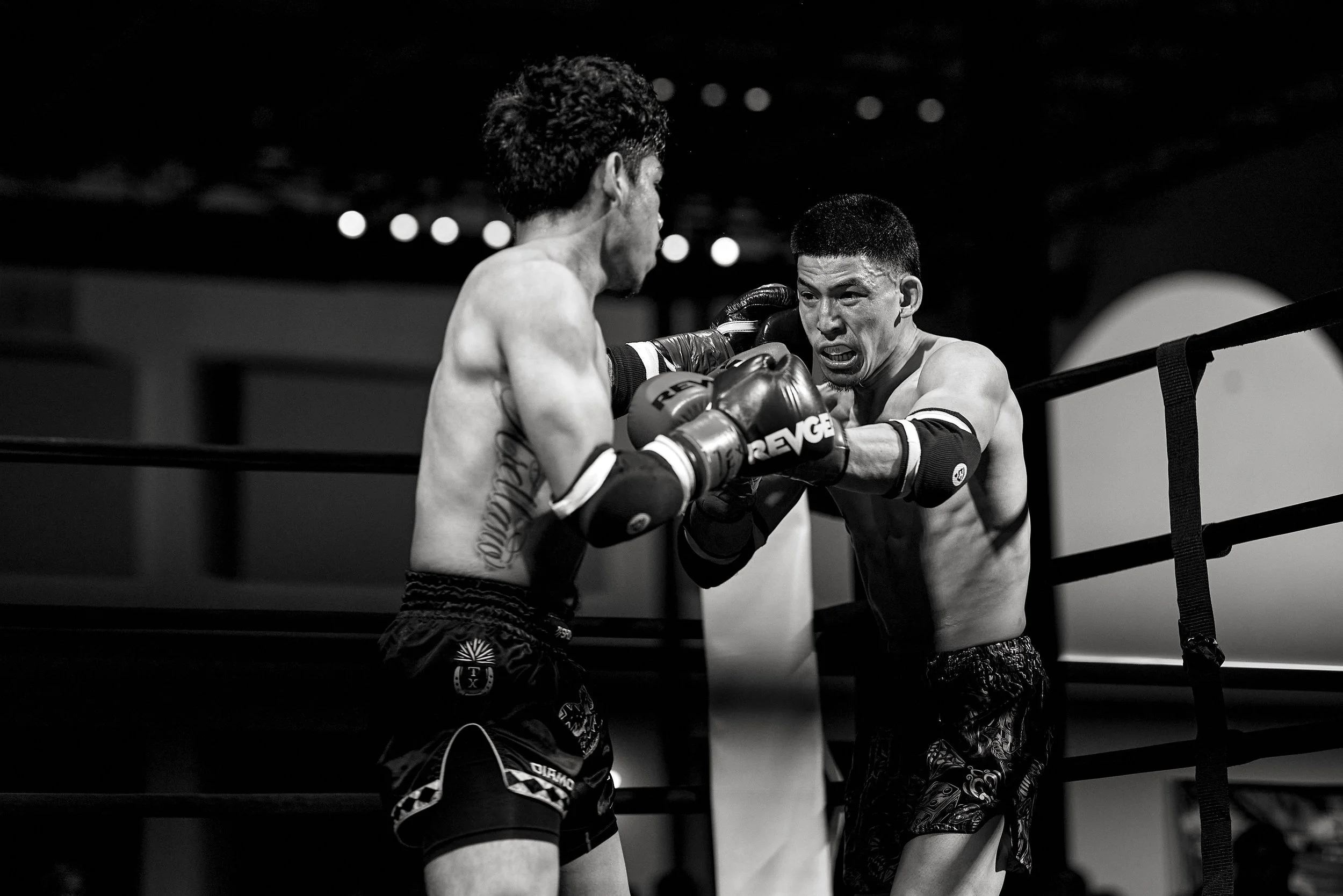 fight6_m2_46.jpg