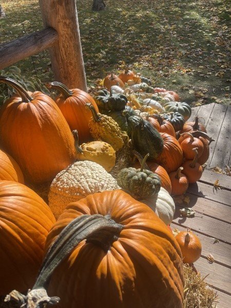 IMG_2160.jpg