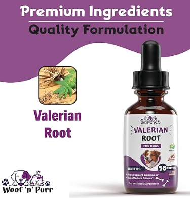 Natural Calm: Valerian Root for Canine Health