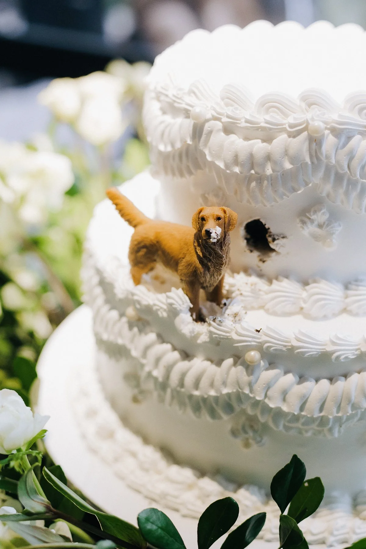 Torta de boda con perro, realizada por Carlos Córdoba, fotógrafo de bodas de Medellín Colombia