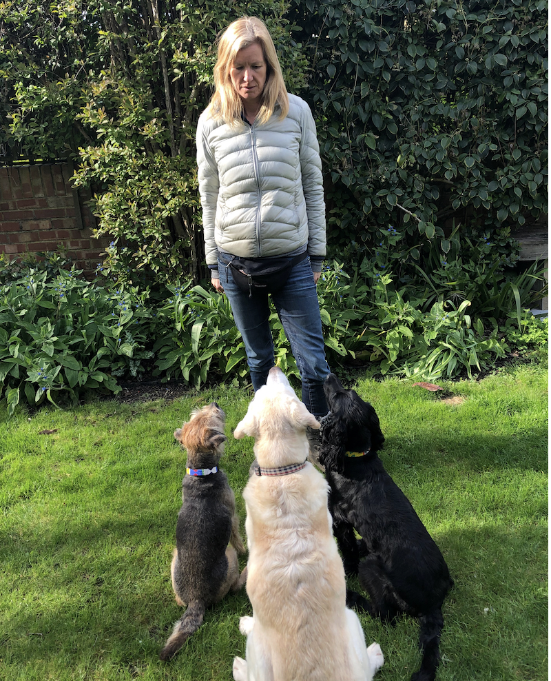 One-to-One Dog Training vs Group Classes in West London: Which Is Right For Your Dog?
