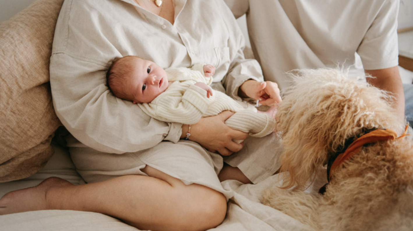 How to Introduce Your Dog to a New Baby: Safe Steps for Bringing Your Newborn Home