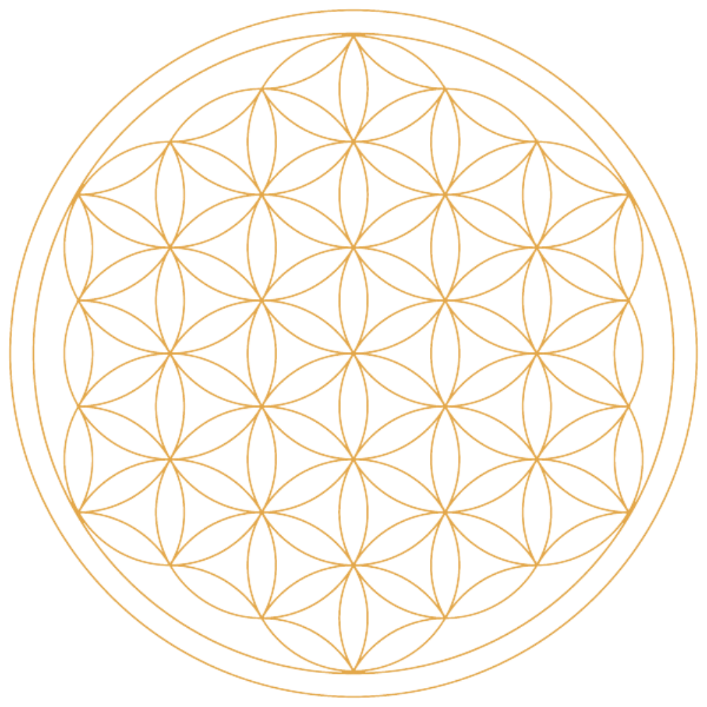 Julie Freeman integrative nutritionist Fuquay-Varina