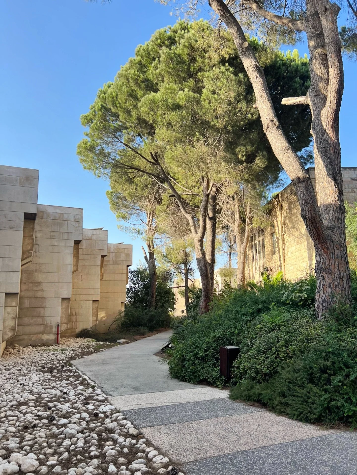 Holidays have a way of stirring what we thought we had moved past.

A small comment can provoke an outsized reaction, or a familiar room can awaken forgotten feelings.

This is the return of the unconscious &mdash; emotional material that has been st