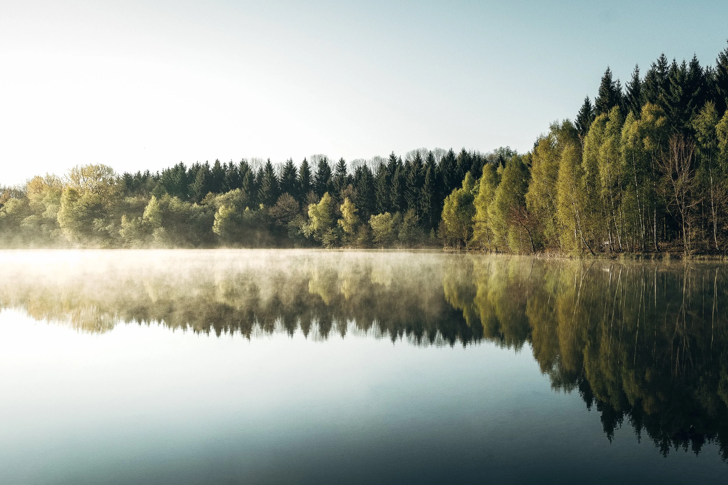 Join retail readiness to learn how to raise capital with RIAs.