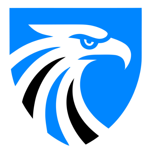 Blue Eagle Roofing &amp; Construction 