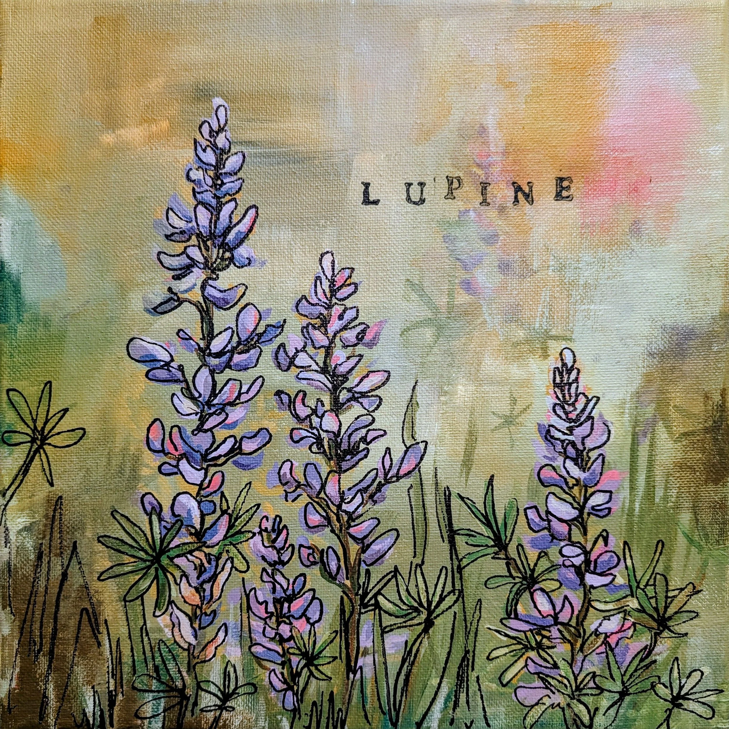 Steph lupine 2026.jpg