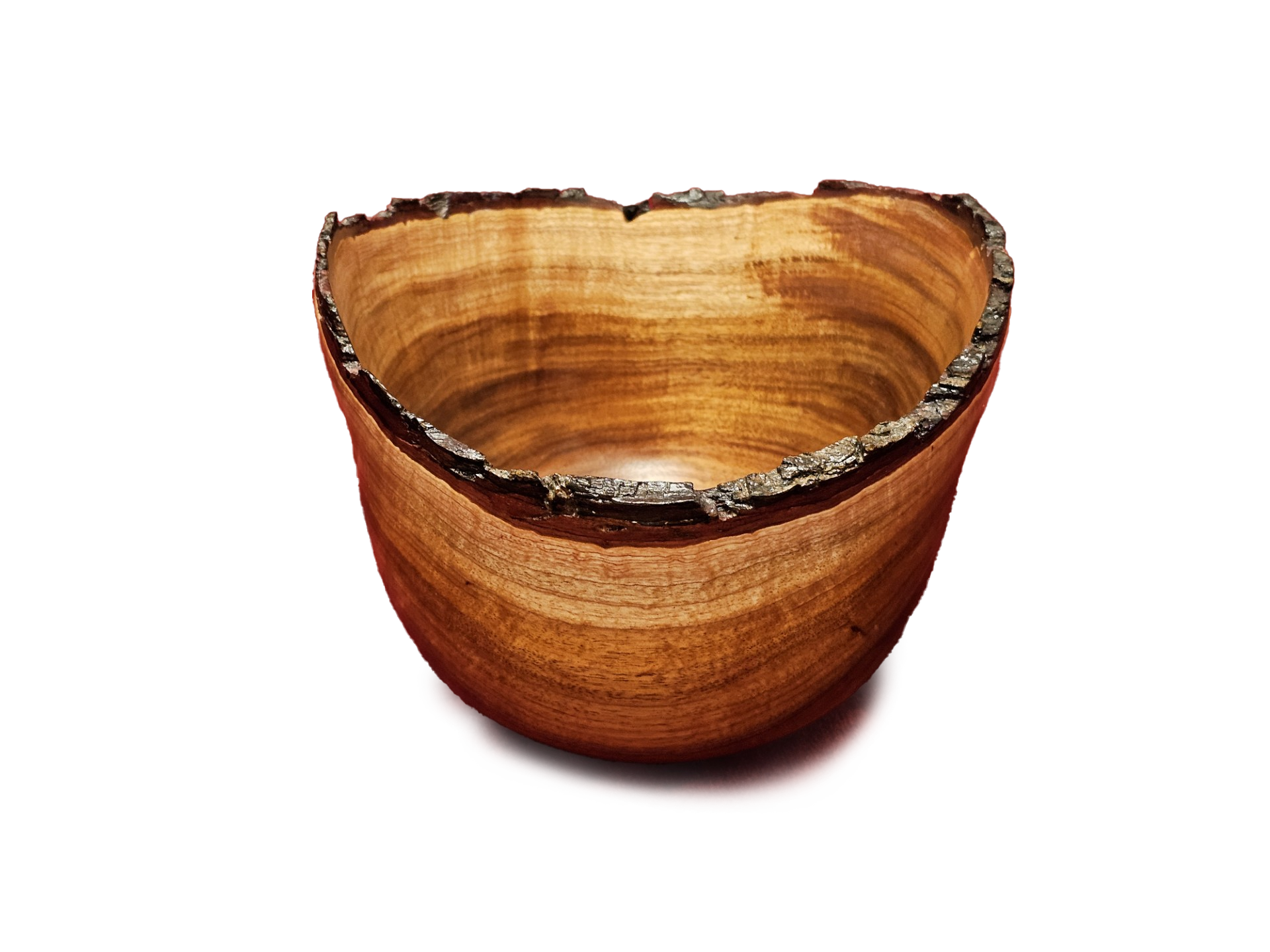 1772066162893blob copy.png