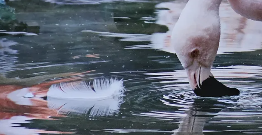 Screenshot 2026-03-29 221146.png