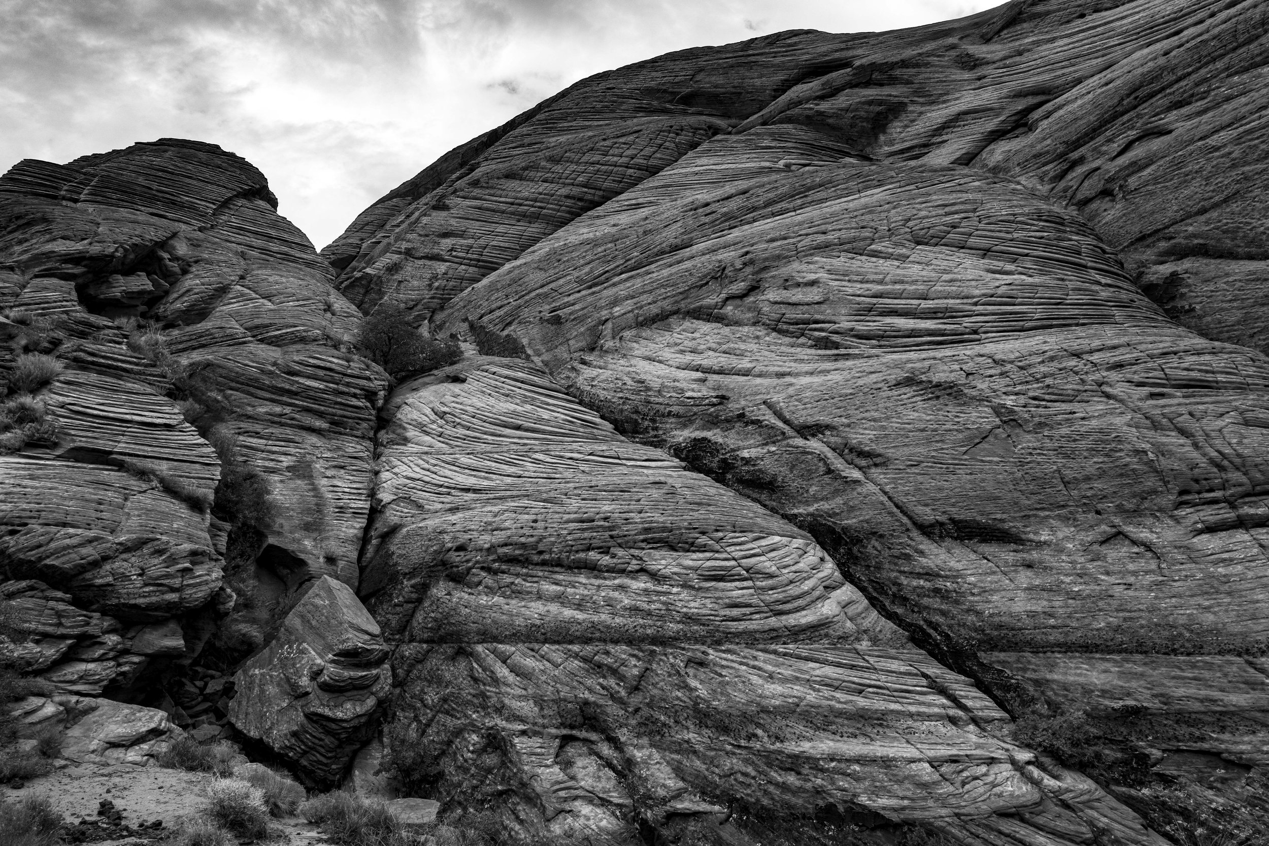 petrified+dunes (2).jpg