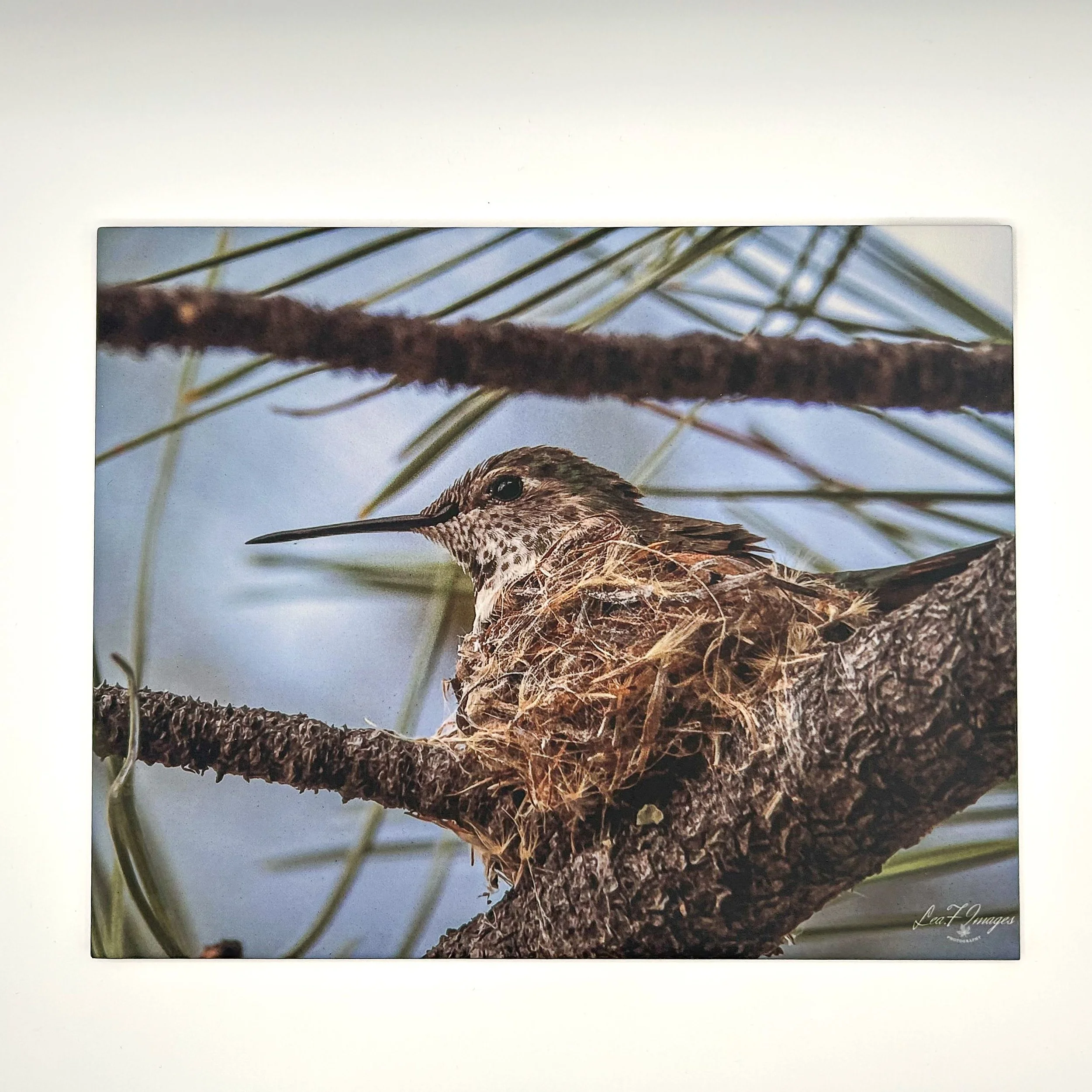 Super Mom _Lea Frye.jpg