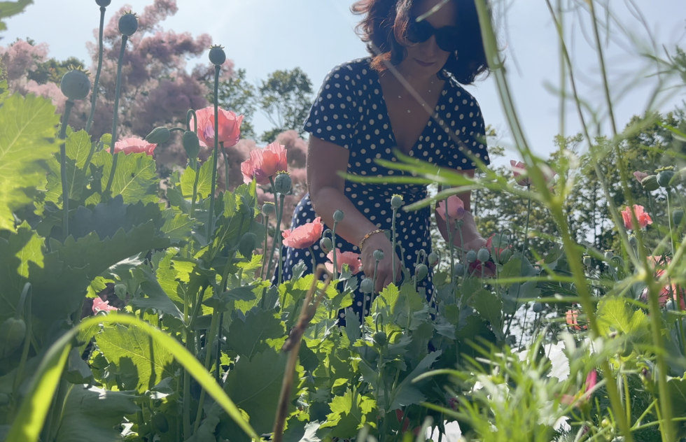 The Secret to Keeping Poppies Fresh | POPPIES &amp; DILL ARRANGEMENT | How to Cauterize Poppies
