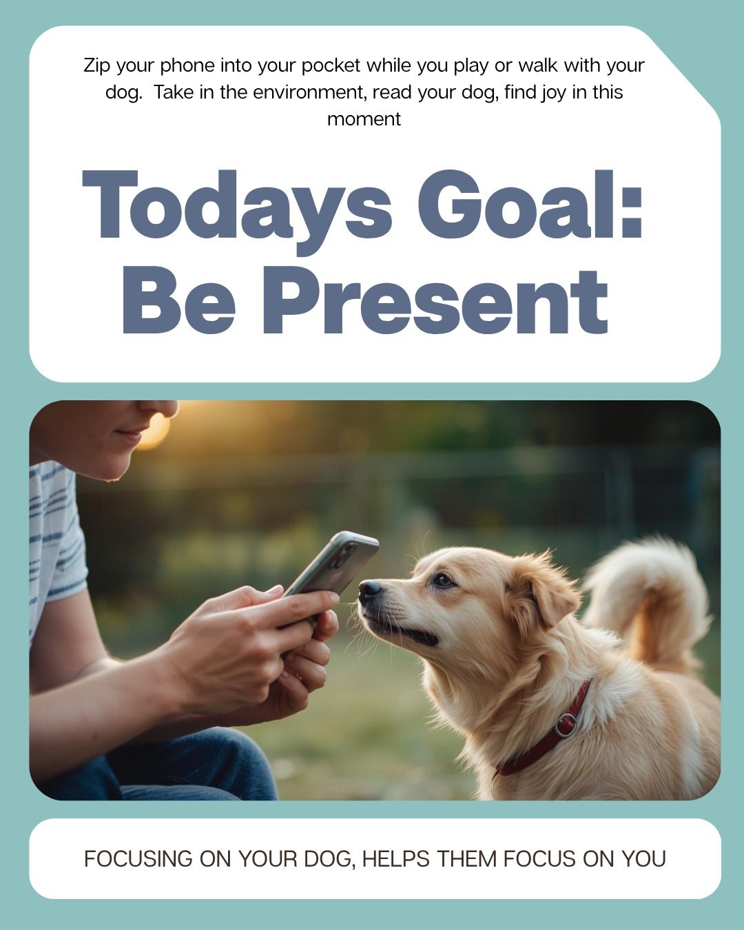 Disconnecting to connect. 
Let's try it. 🐾