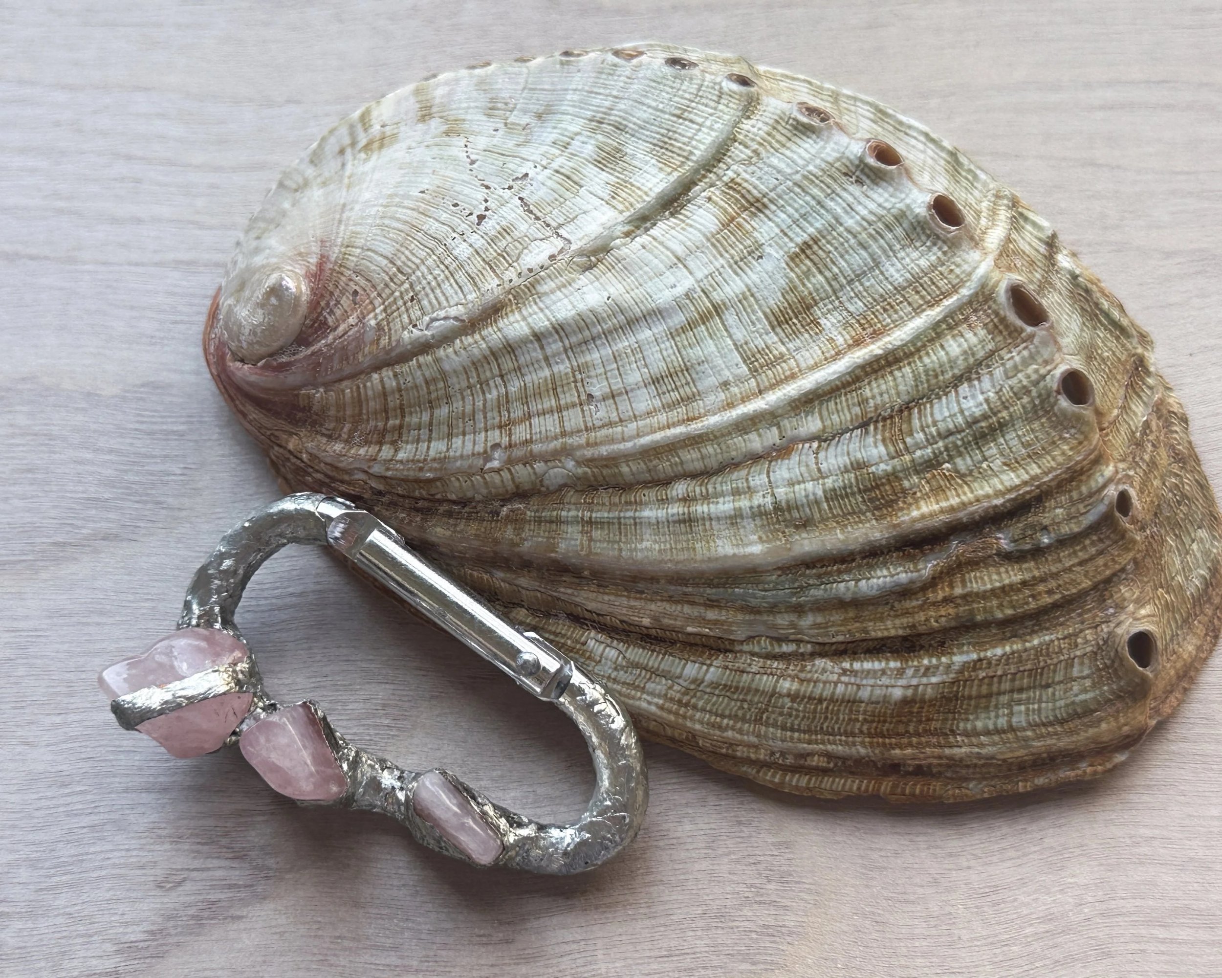 A large seashell with a silver and pink gemstone carabiner placed on top of it, resting on a light-colored wooden surface.