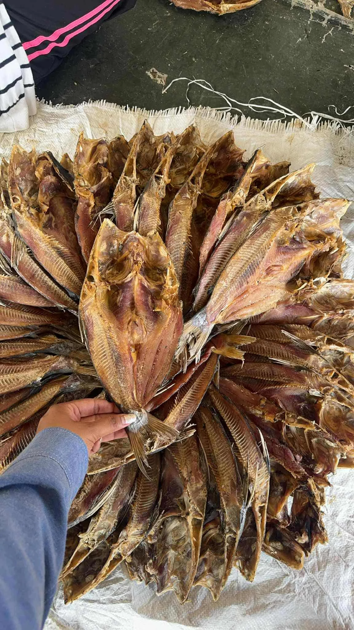 อาหารตากแห้ง