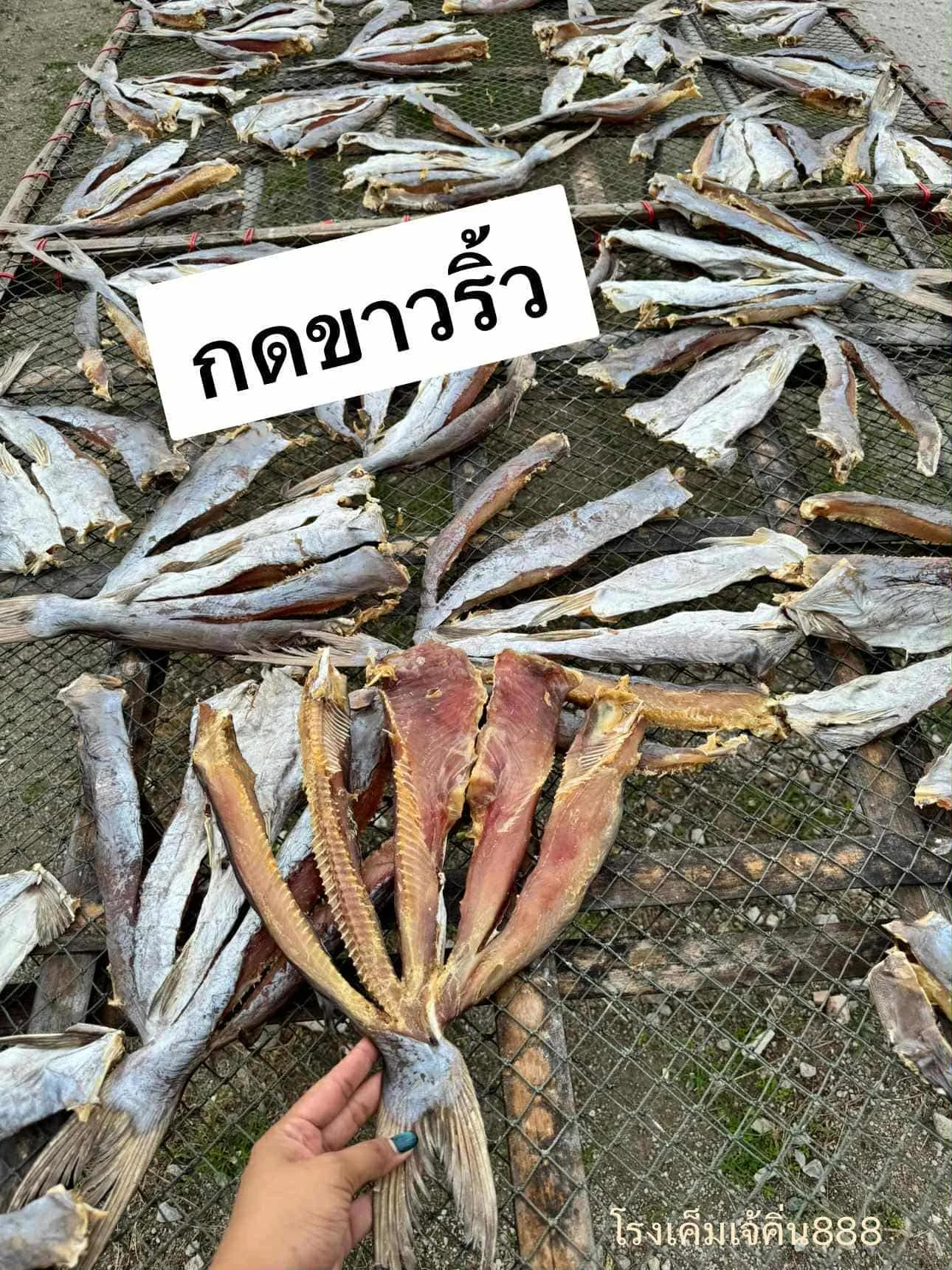 Dried Banana Squid