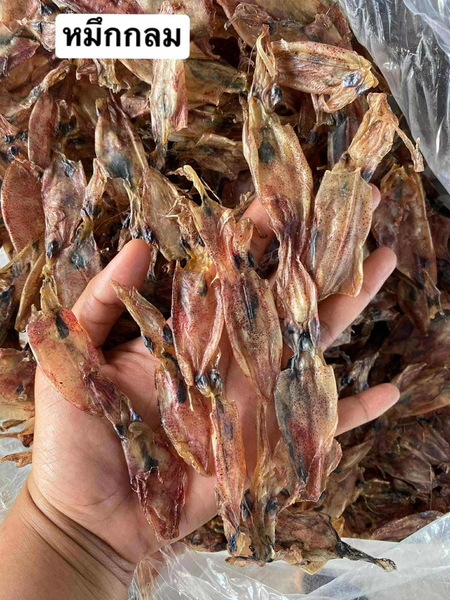 ปลาหมึกกลมตากแห่ง